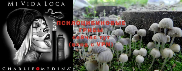 хмурый Приозерск