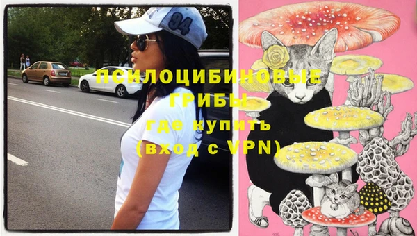 хмурый Приозерск