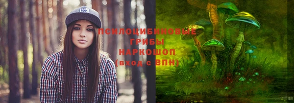 синтетический гашиш Протвино